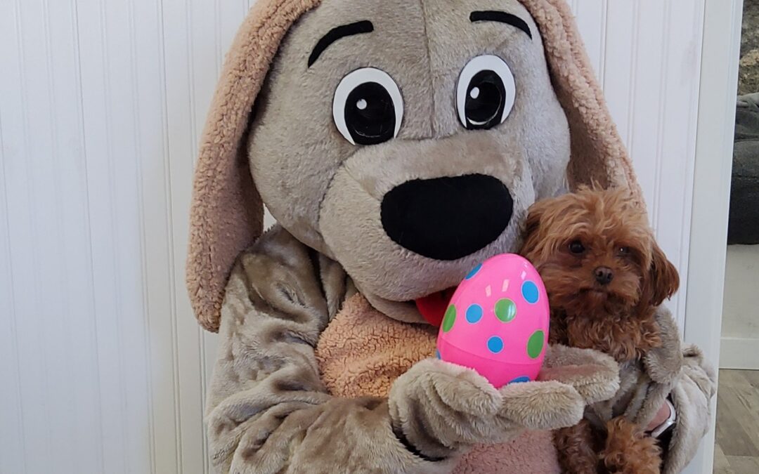 Spring Fling Pawty