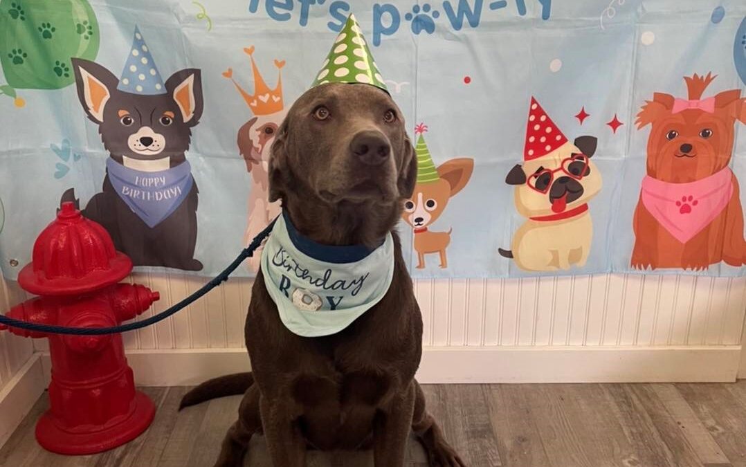 Birthdays
