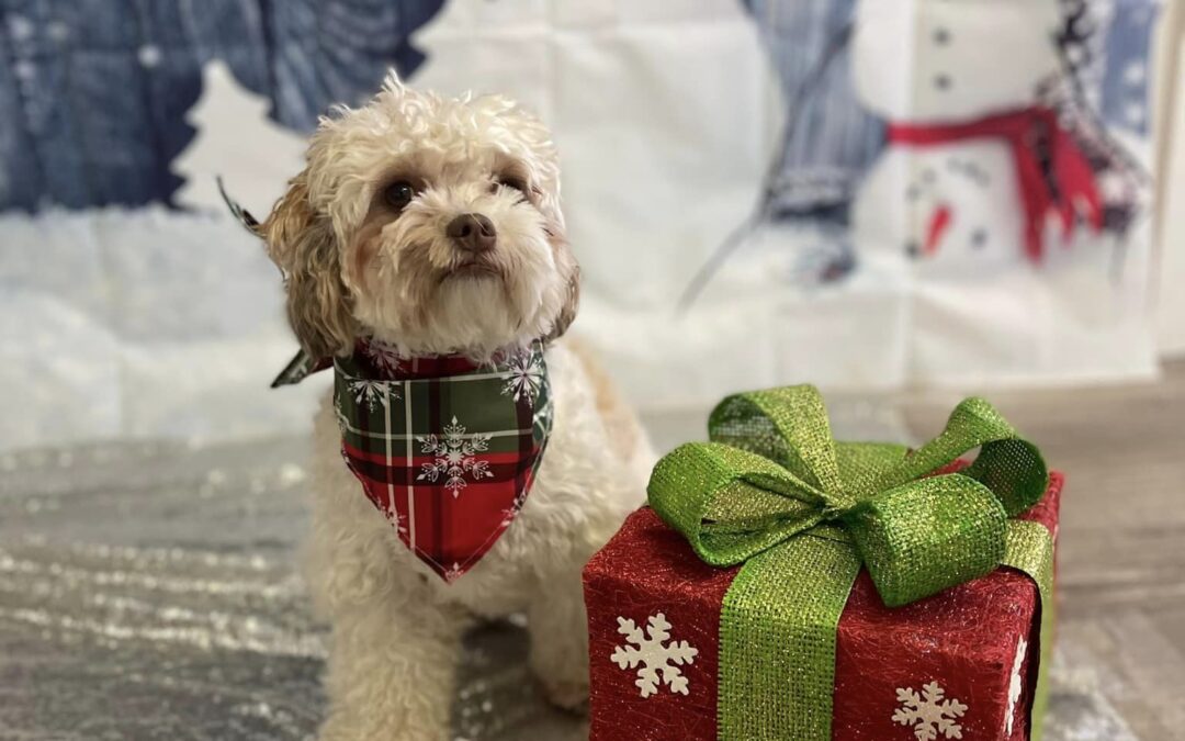 Sitting with Santa