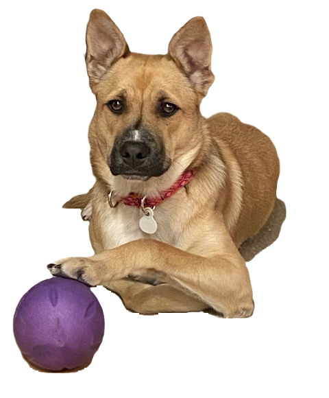 Bisou