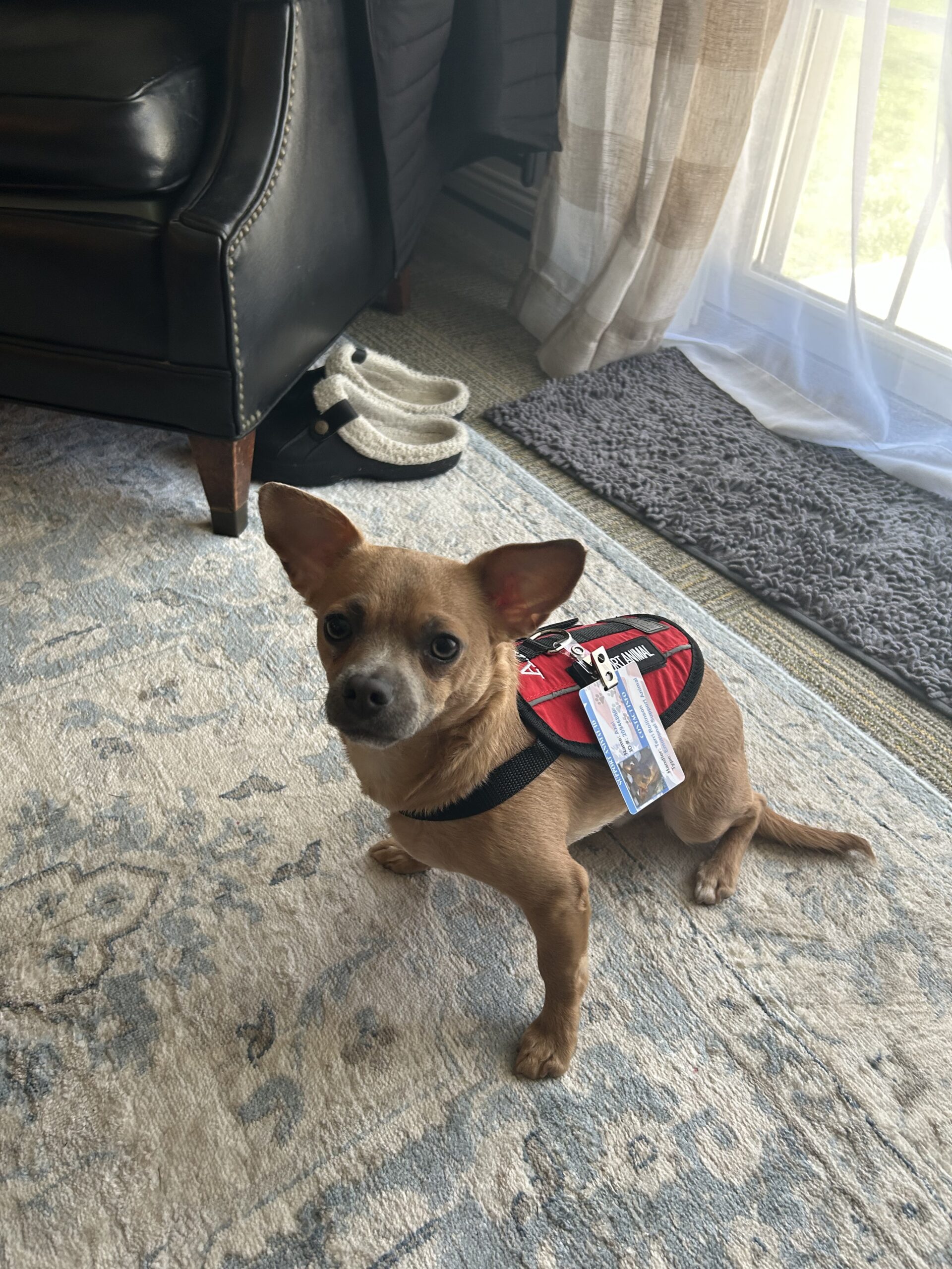 Axel