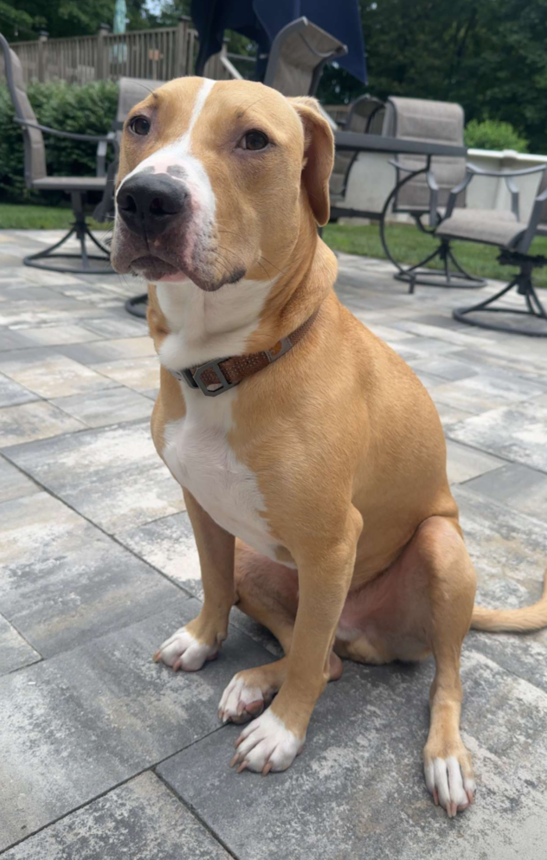Charlie