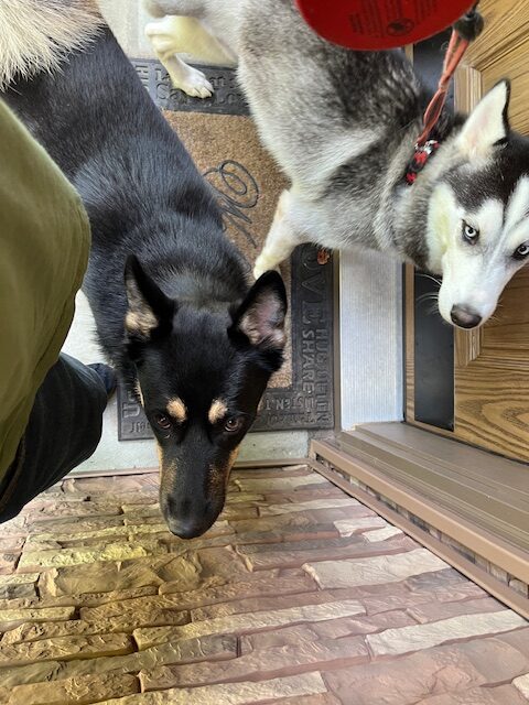 Jax & Luke