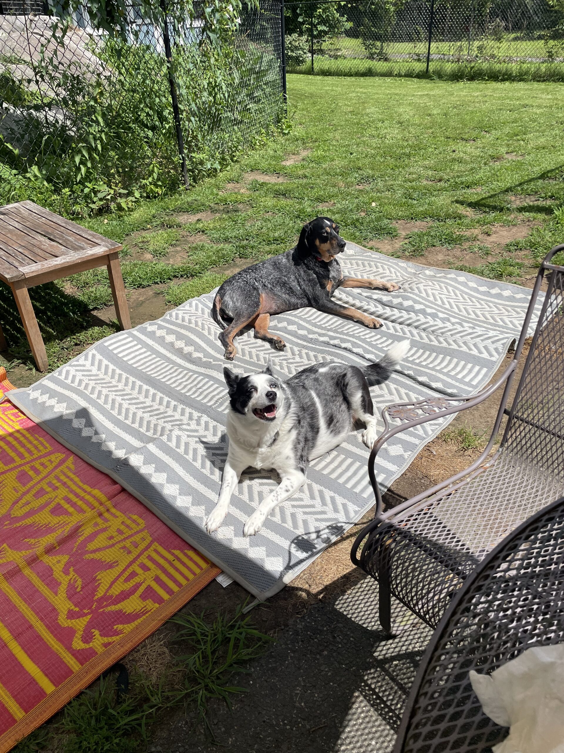 Lady & Teeka