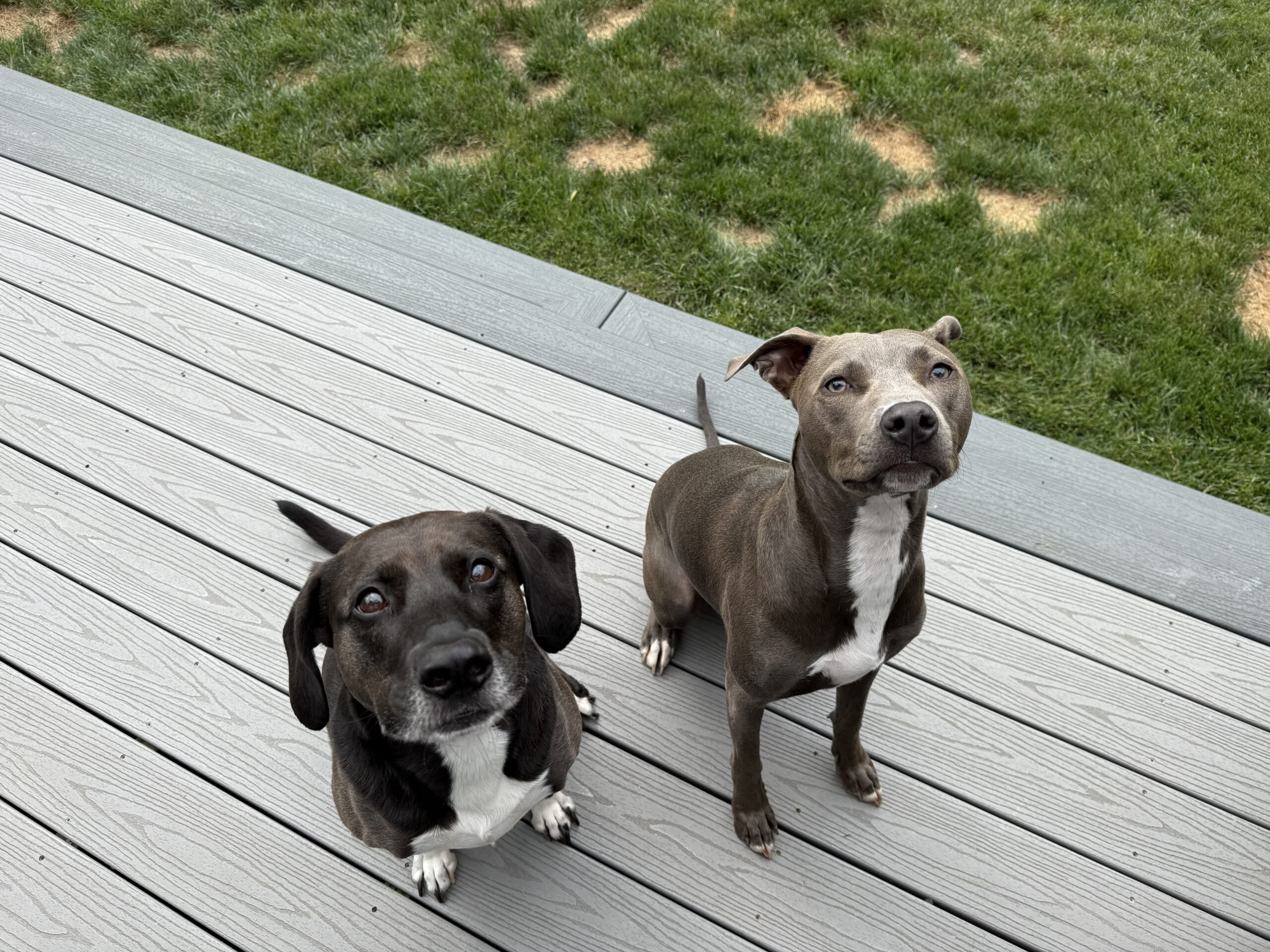 Sadie & Maggie