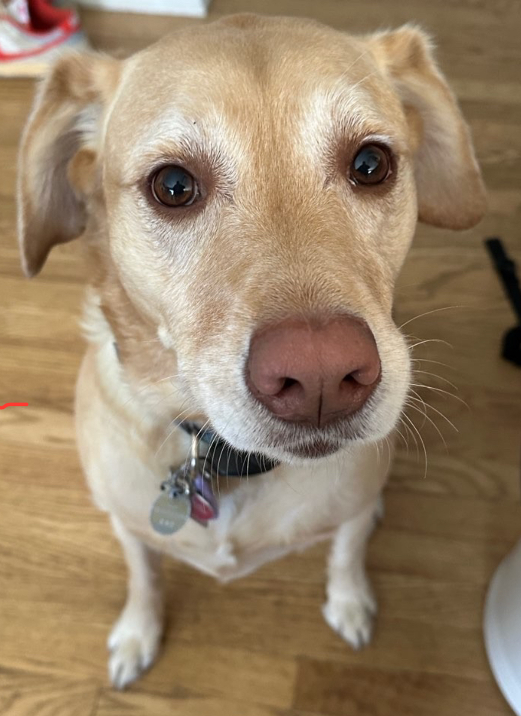 Skylar