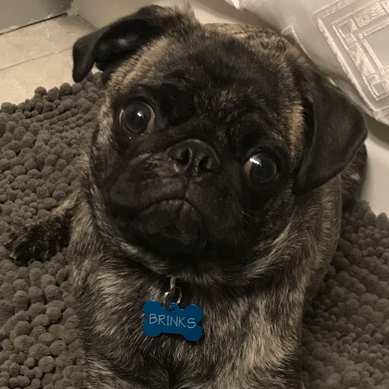 Brinks Valentino 'Papa'