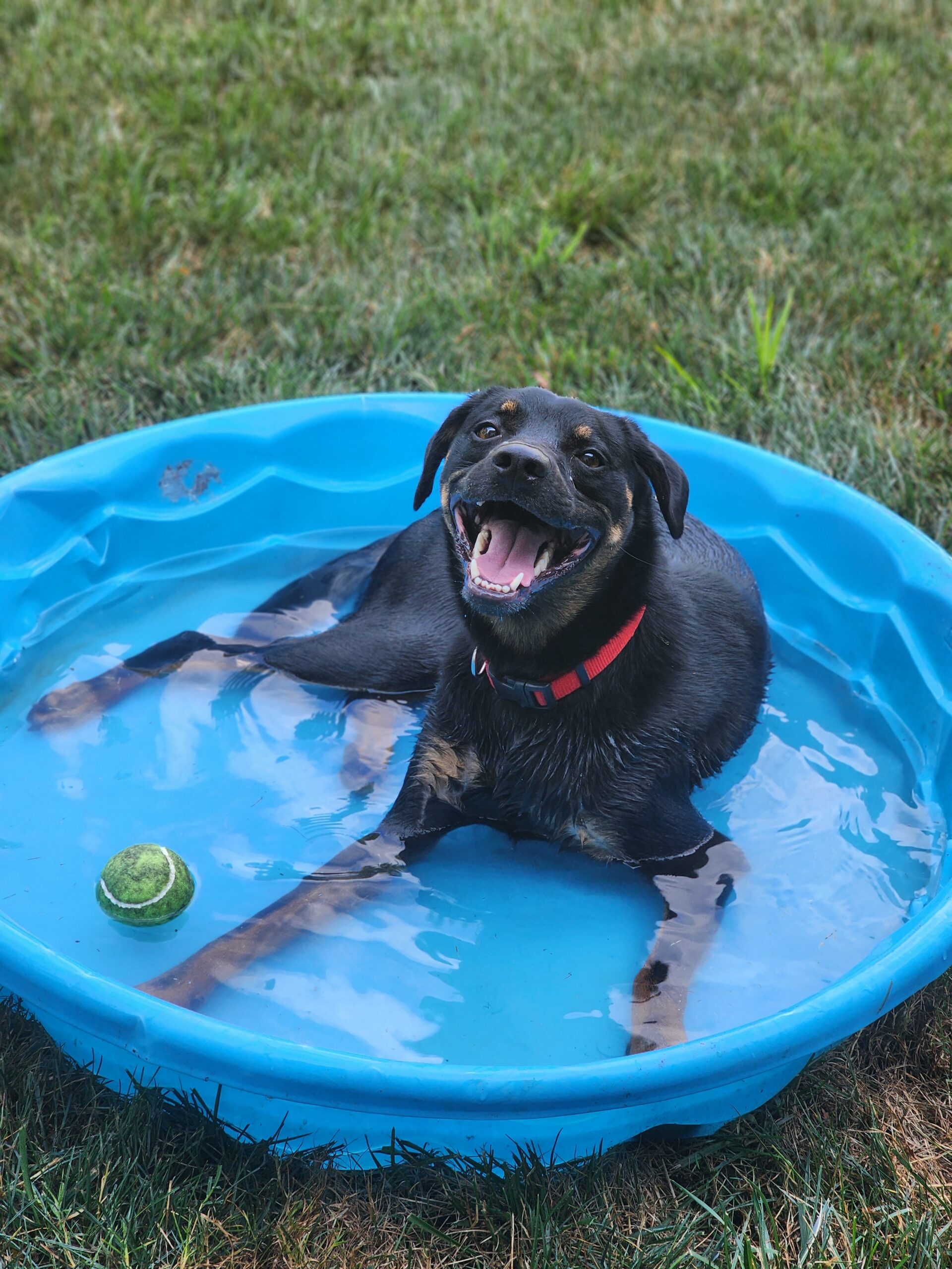 Duncan