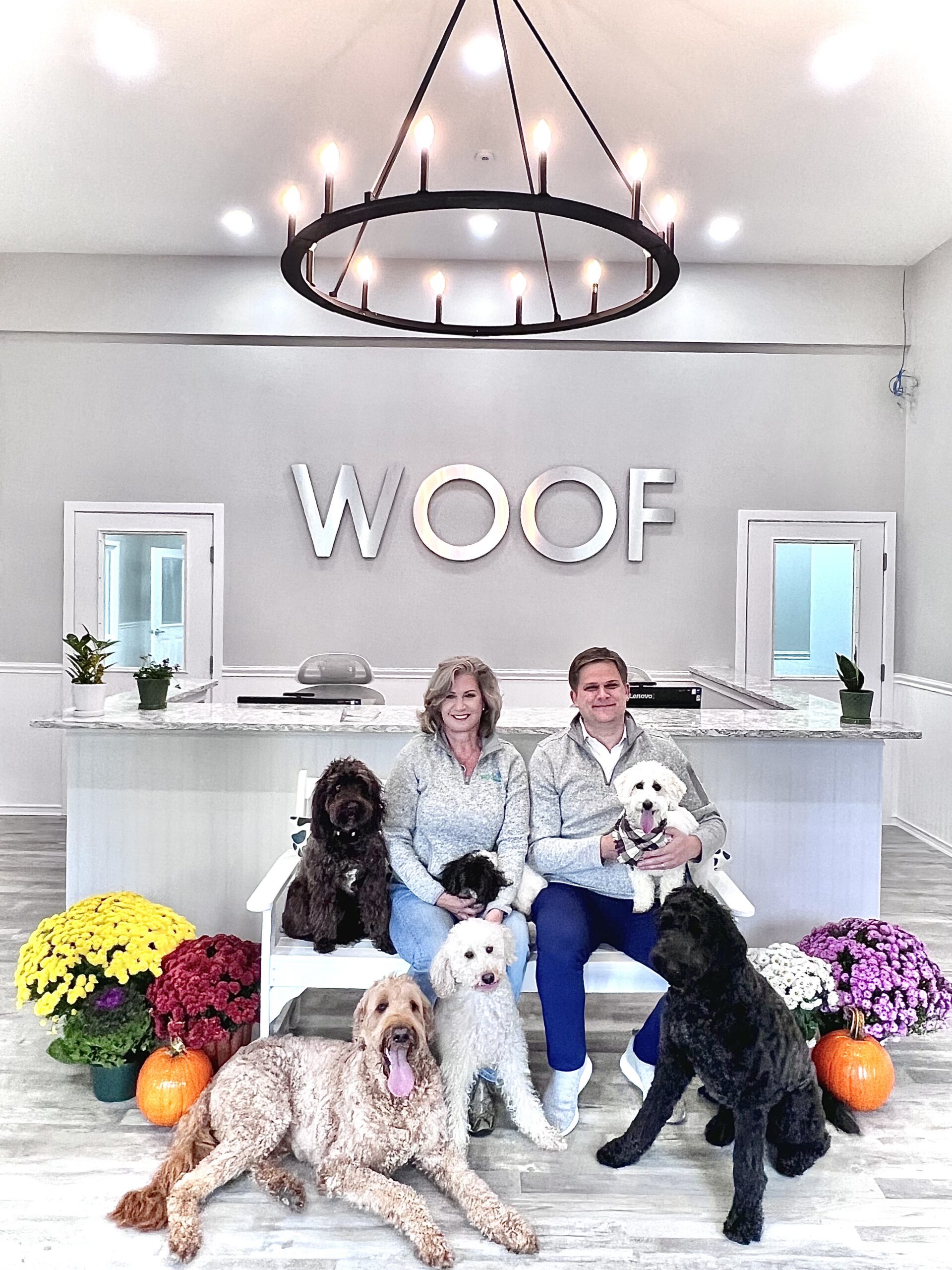 Wiggles Pet Resort in Middlebury, CT